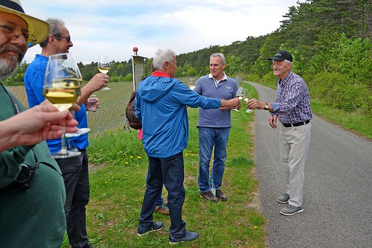 Führungen Weinbau Keller