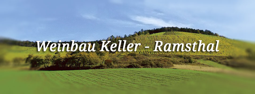 weinberg weinbau keller ramsthal
